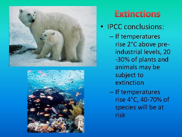 Extinctions • IPCC conclusions: – If temperatures rise 2°C above preindustrial levels, 20 -30%