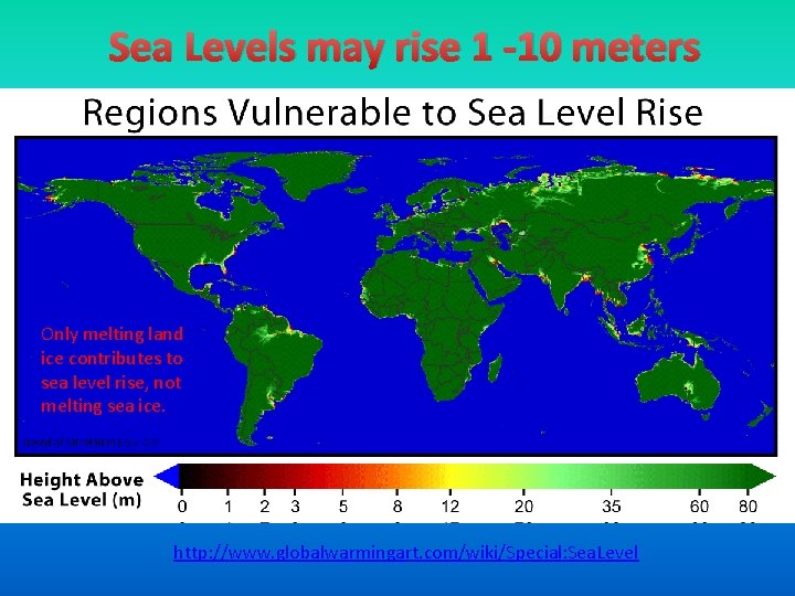 Sea Levels may rise 1 -10 meters Only melting land ice contributes to sea