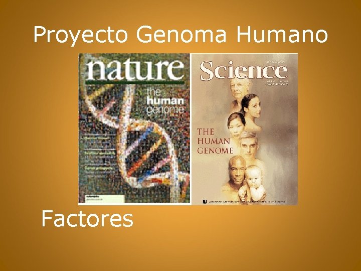 Proyecto Genoma Humano Factores 