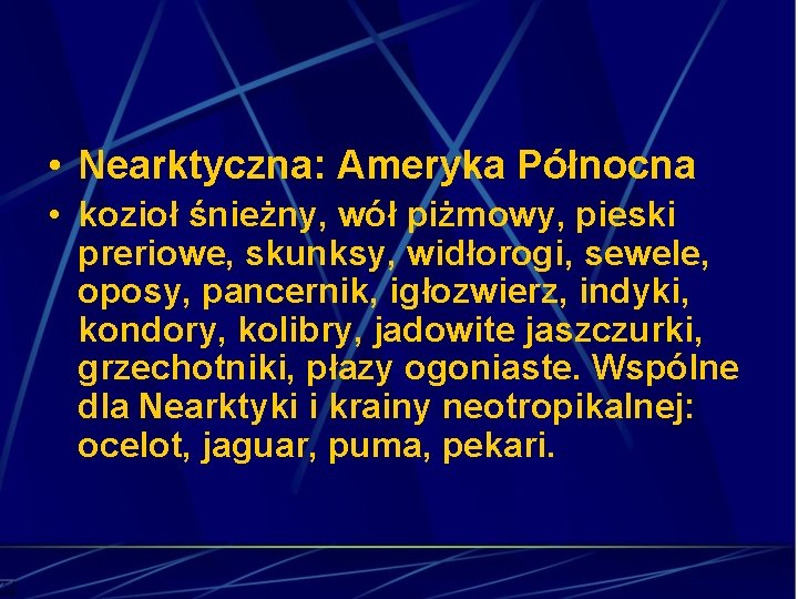  • Nearktyczna: Ameryka Północna • kozioł śnieżny, wół piżmowy, pieski preriowe, skunksy, widłorogi,