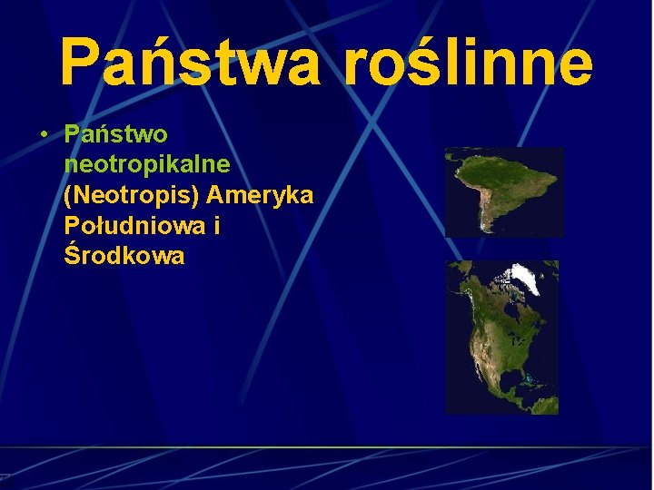 Państwa roślinne • Państwo neotropikalne (Neotropis) Ameryka Południowa i Środkowa 