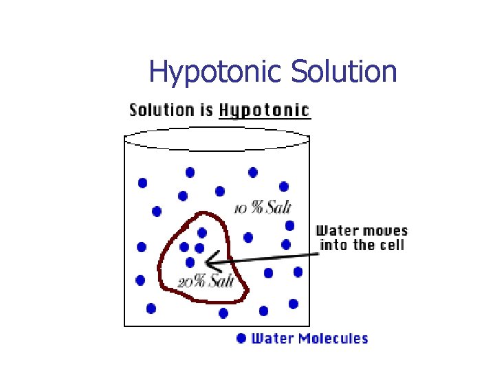 Hypotonic Solution 