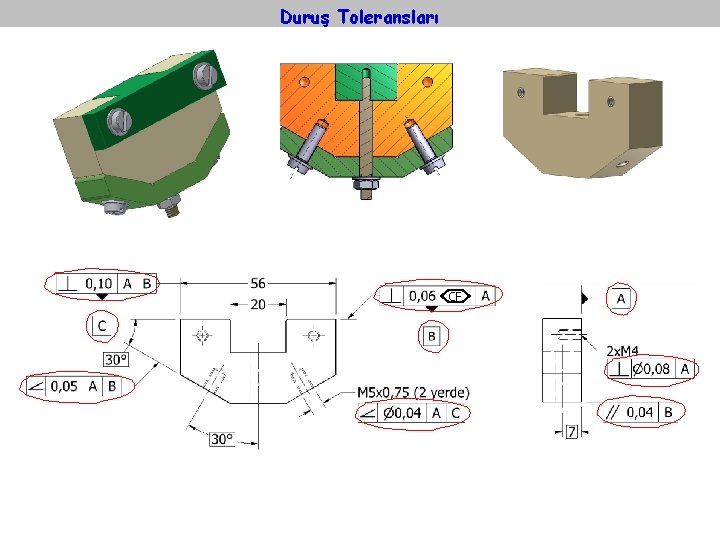 Duruş Toleransları CF 