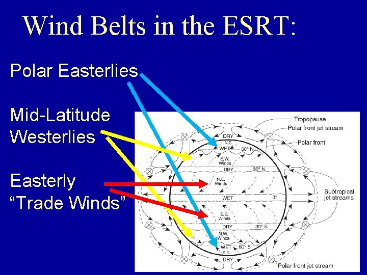 Wind Belts in the ESRT: Polar Easterlies Mid-Latitude Westerlies Easterly “Trade Winds” 