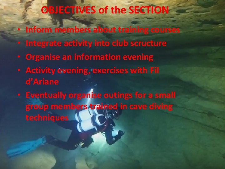 OBJECTIVES of the SECTION Inform members about training courses Integrate activity into club scructure
