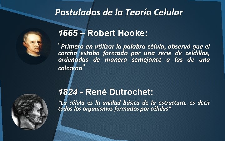 Postulados de la Teoría Celular 1665 – Robert Hooke: “Primero en utilizar la palabra