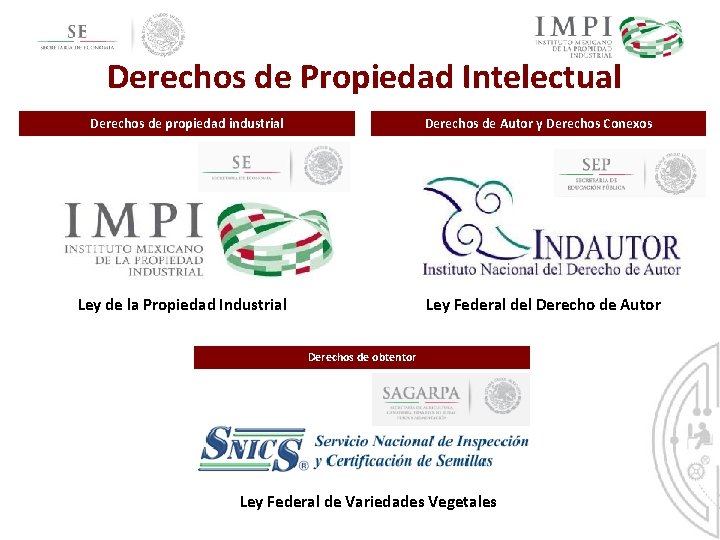 Derechos de Propiedad Intelectual Derechos de propiedad industrial Derechos de Autor y Derechos Conexos Derechos de Propiedad Intelectual Derechos de propiedad industrial Derechos de Autor y Derechos Conexos