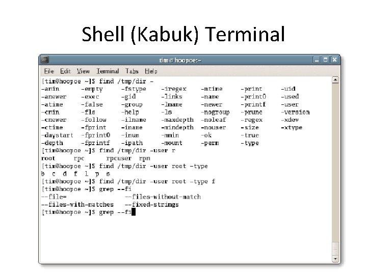 Shell (Kabuk) Terminal 