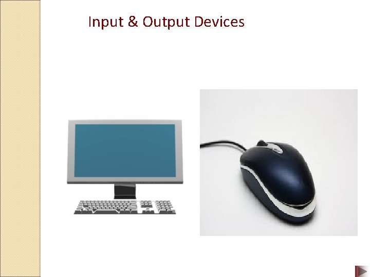 Input & Output Devices 