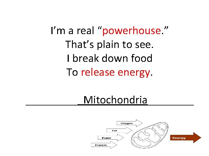I’m a real “powerhouse. ” That’s plain to see. I break down food To