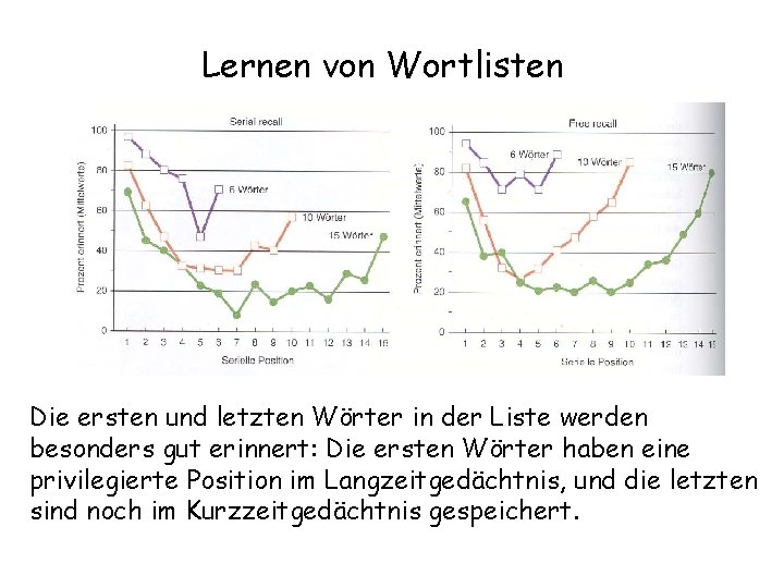 Lernen von Wortlisten Die ersten und letzten Wörter in der Liste werden besonders gut