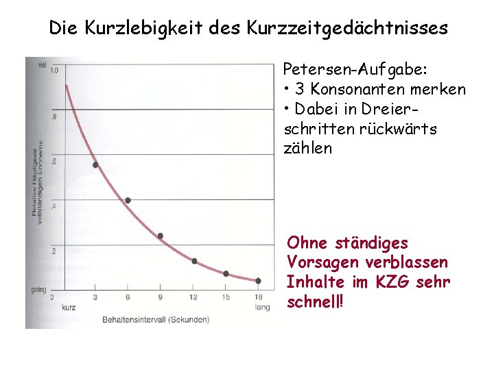 Die Kurzlebigkeit des Kurzzeitgedächtnisses Petersen-Aufgabe: • 3 Konsonanten merken • Dabei in Dreierschritten rückwärts