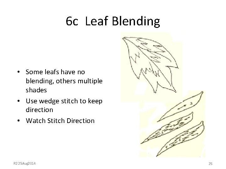 6 c Leaf Blending • Some leafs have no blending, others multiple shades •