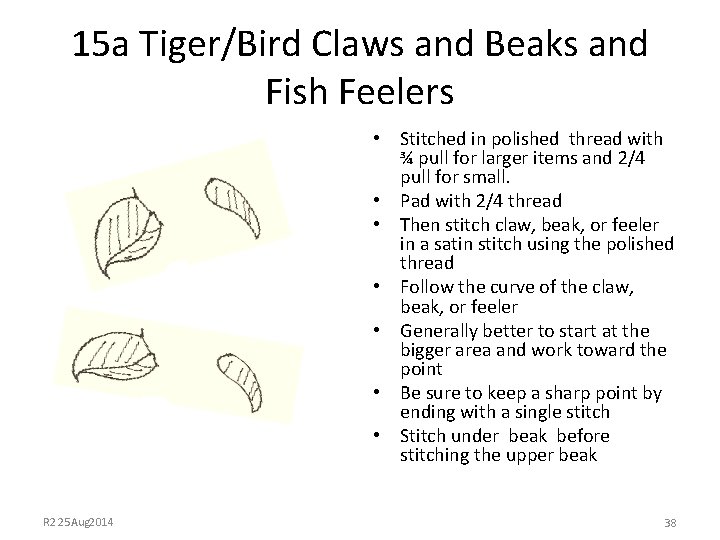 15 a Tiger/Bird Claws and Beaks and Fish Feelers • Stitched in polished thread