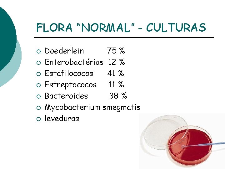 FLORA “NORMAL” - CULTURAS ¡ ¡ ¡ ¡ Doederlein 75 % Enterobactérias 12 %