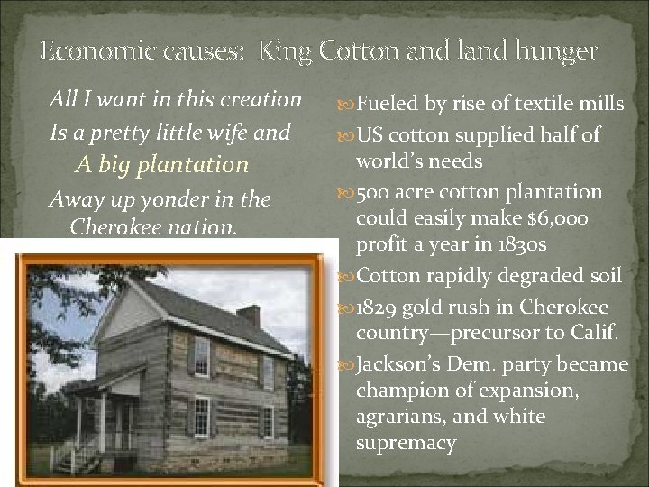 Economic causes: King Cotton and land hunger All I want in this creation Is
