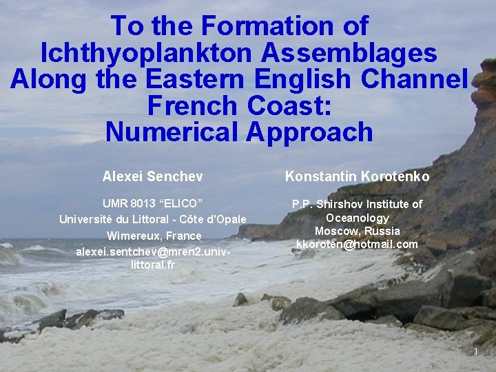 To the Formation of Ichthyoplankton Assemblages Along the Eastern English Channel French Coast: Numerical