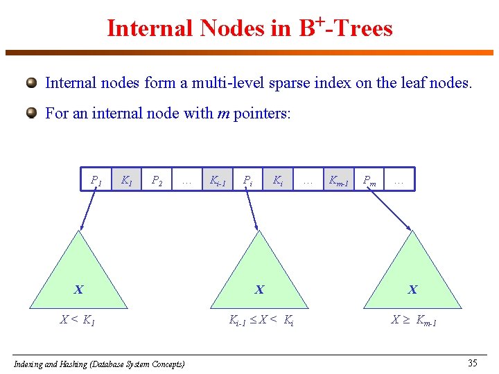 Internal Nodes in B+-Trees Internal nodes form a multi-level sparse index on the leaf