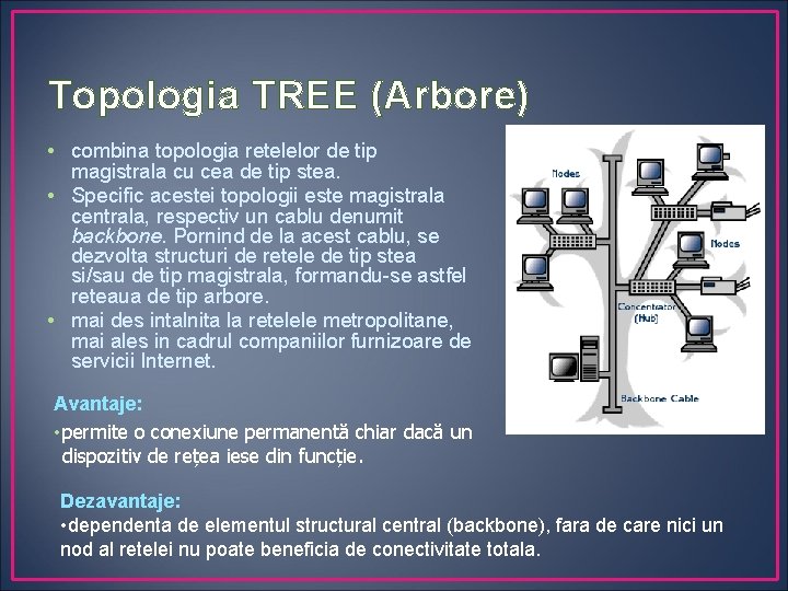 Topologia TREE (Arbore) • combina topologia retelelor de tip magistrala cu cea de tip