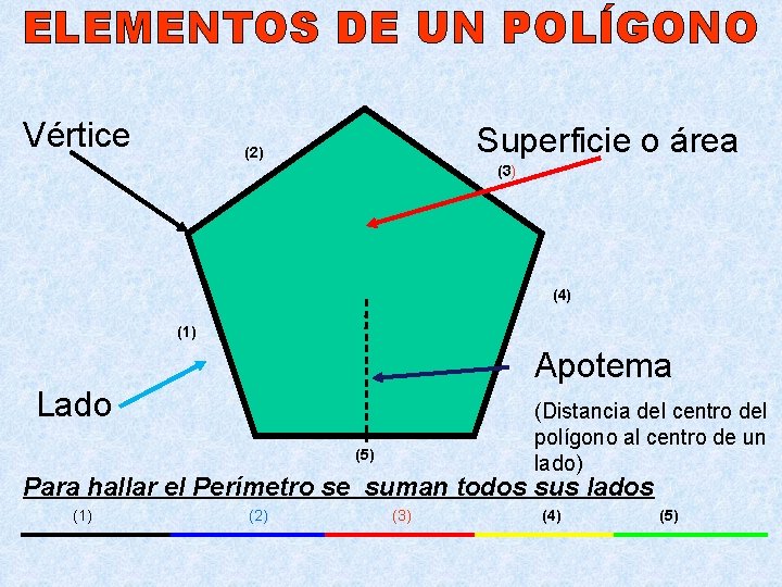 ELEMENTOS DE UN POLÍGONO Vértice Superficie o área (2) (3) (4) : (1) Apotema