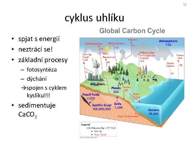 17 cyklus uhlíku • spjat s energií • neztrácí se! • základní procesy –