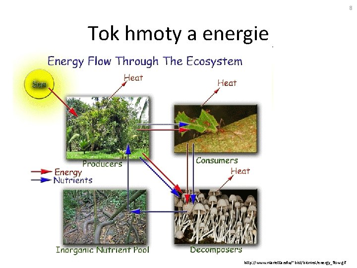 8 Tok hmoty a energie http: //www. marietta. edu/~biol/biomes/energy_flow. gif 