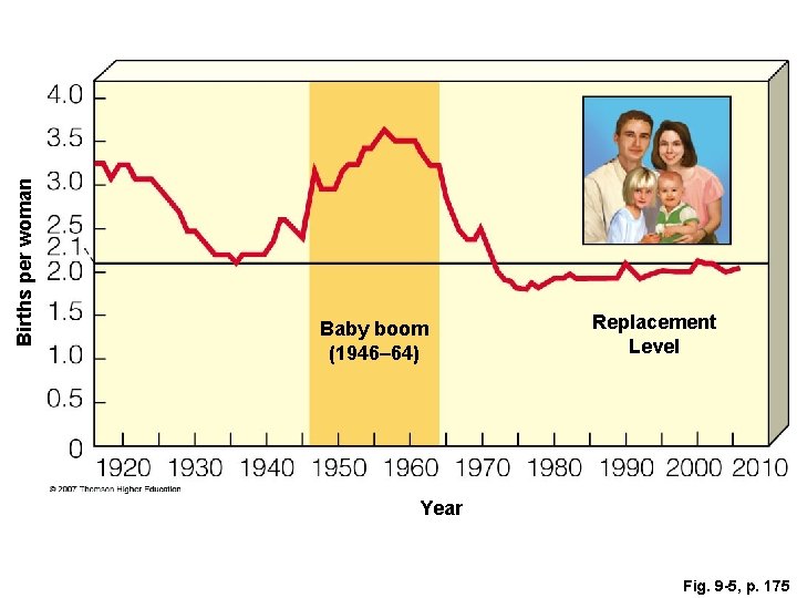 Births per woman Baby boom (1946– 64) Replacement Level Year Fig. 9 -5, p.