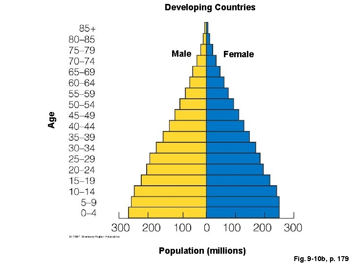 Developing Countries Female Age Male Population (millions) Fig. 9 -10 b, p. 179 