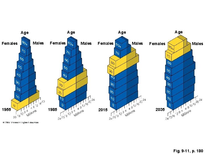Females 1955 Males Females 1985 Age Age Males Females 2015 Males Females Males 2035