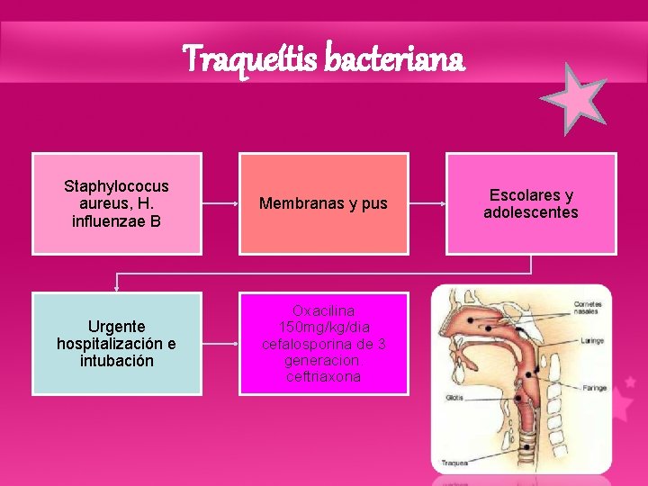 Traqueítis bacteriana Staphylococus aureus, H. influenzae B Membranas y pus Urgente hospitalización e intubación