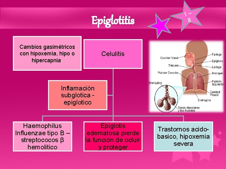 Epiglotitis Cambios gasimétricos con hipoxemia, hipo o hipercapnia. 1– 8 Celulitis Inflamación subglotica epiglotico Epiglotitis Cambios gasimétricos con hipoxemia, hipo o hipercapnia. 1– 8 Celulitis Inflamación subglotica epiglotico