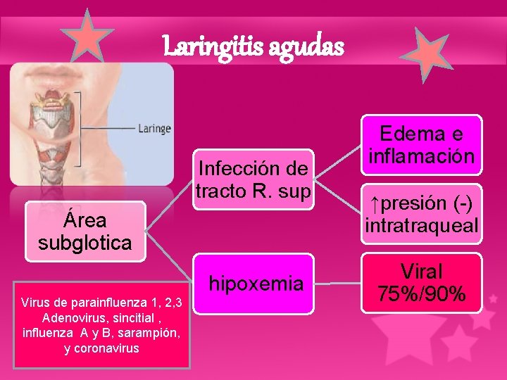 Laringitis agudas Infección de tracto R. sup Área subglotica hipoxemia Virus de parainfluenza 1,