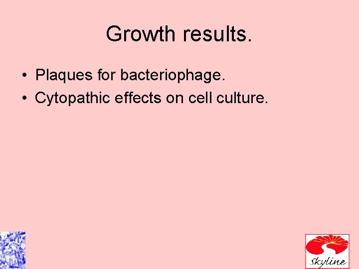 Growth results. • Plaques for bacteriophage. • Cytopathic effects on cell culture. 