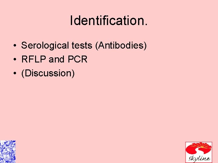 Identification. • Serological tests (Antibodies) • RFLP and PCR • (Discussion) 