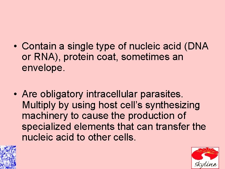  • Contain a single type of nucleic acid (DNA or RNA), protein coat,