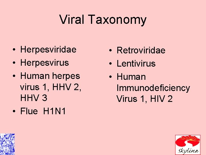 Viral Taxonomy • Herpesviridae • Herpesvirus • Human herpes virus 1, HHV 2, HHV