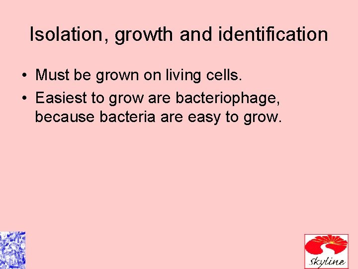 Isolation, growth and identification • Must be grown on living cells. • Easiest to