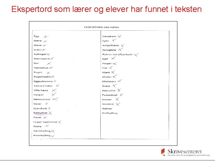 Ekspertord som lærer og elever har funnet i teksten 