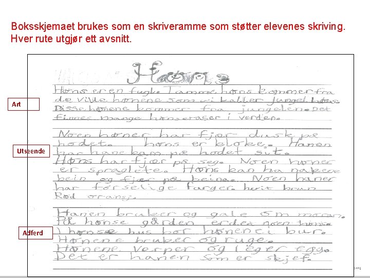 Boksskjemaet brukes som en skriveramme som støtter elevenes skriving. Hver rute utgjør ett avsnitt.