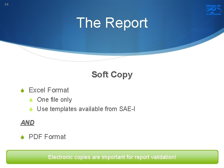 14 The Report Soft Copy S Excel Format S One file only S Use