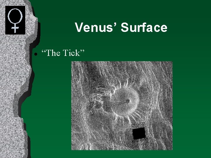 Venus’ Surface l “The Tick” 