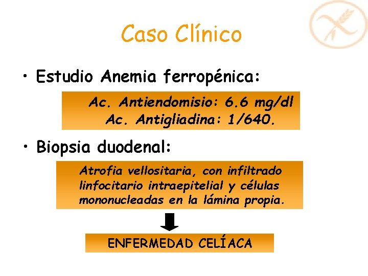 Caso Clínico • Estudio Anemia ferropénica: Ac. Antiendomisio: 6. 6 mg/dl Ac. Antigliadina: 1/640. Caso Clínico • Estudio Anemia ferropénica: Ac. Antiendomisio: 6. 6 mg/dl Ac. Antigliadina: 1/640.