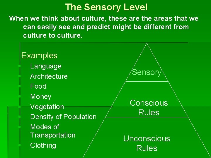 The Sensory Level When we think about culture, these are the areas that we