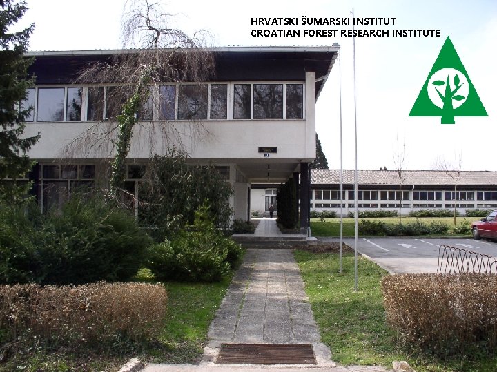 HRVATSKI ŠUMARSKI INSTITUT CROATIAN FOREST RESEARCH INSTITUTE 
