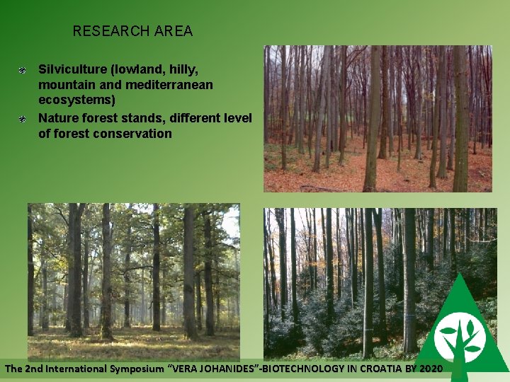 RESEARCH AREA Silviculture (lowland, hilly, mountain and mediterranean ecosystems) Nature forest stands, different level