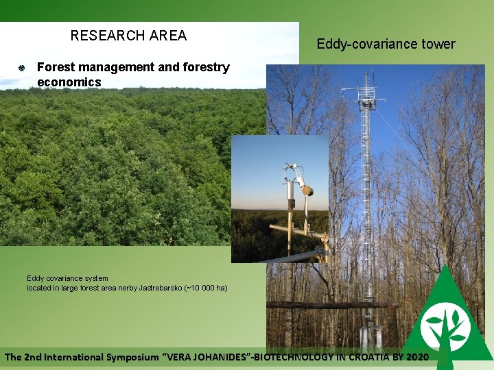 RESEARCH AREA Eddy-covariance tower Forest management and forestry economics Eddy covariance system located in