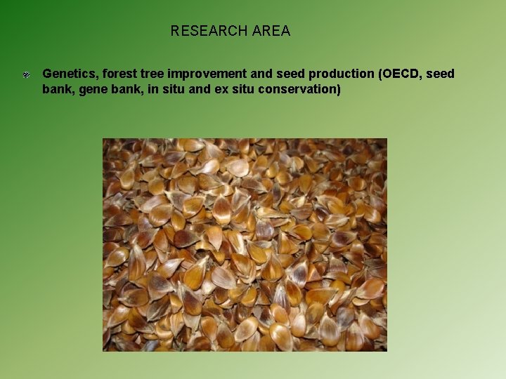 RESEARCH AREA Genetics, forest tree improvement and seed production (OECD, seed bank, gene bank,