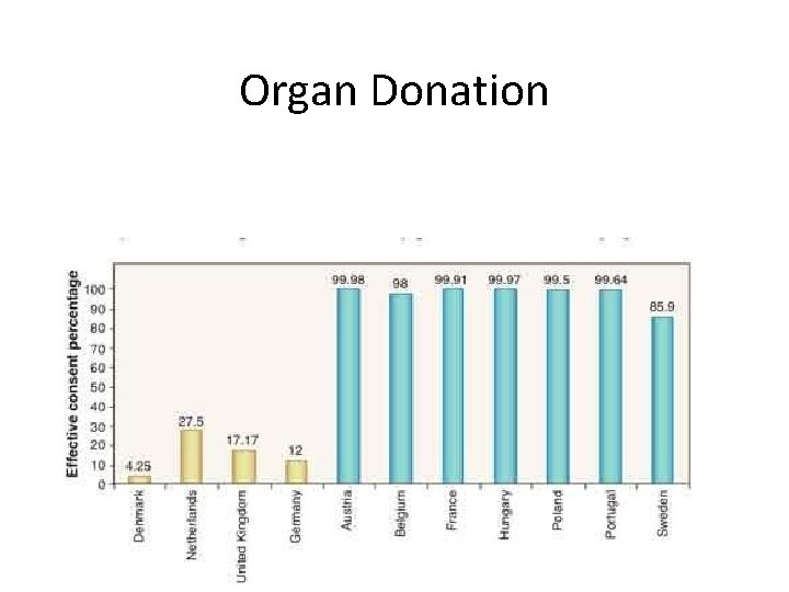 Organ Donation 3 
