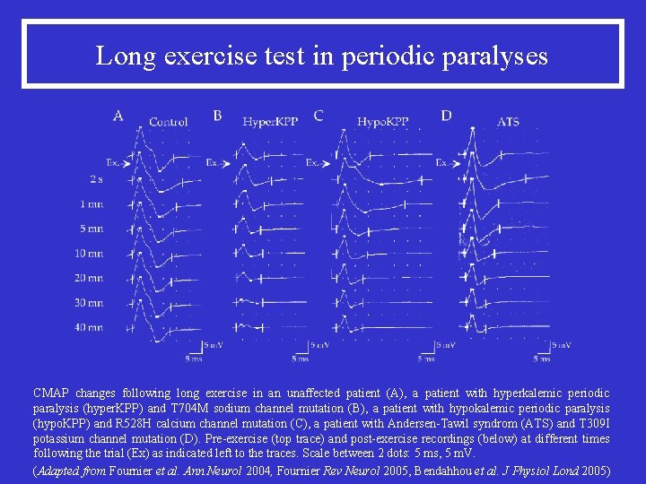 Long exercise test in periodic paralyses CMAP changes following long exercise in an unaffected