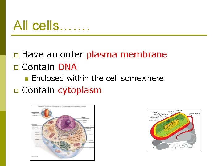 All cells……. Have an outer plasma membrane p Contain DNA p n p Enclosed